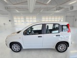  Fiat  Panda FIAT  / 2011 / 5P / BERLINA 1.0 70CV SeS HYBRID #8