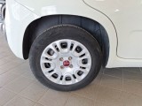  Fiat  Panda FIAT  / 2011 / 5P / BERLINA 1.0 70CV SeS HYBRID #18