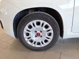  Fiat  Panda FIAT  / 2011 / 5P / BERLINA 1.0 70CV SeS HYBRID #20