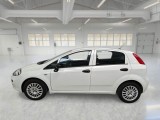  Fiat  Punto FIAT  / 2011 / 5P / BERLINA 1.3 MULTIJET STREET 95CV SeS EU6 #8