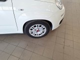  Fiat  Panda FIAT  / 2011 / 5P / BERLINA 1.0 70CV SeS HYBRID #35