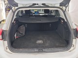  Ford  Focus Ford  1.0 EcoBo 100pk Trend Edition Bus Wagon 5d #19