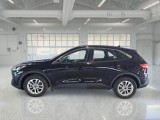 Ford  Kuga FORD  / 2019 / 5P / SUV 1.5 ECOBLUE 120CV 2WD TITANIUM BUS. AUTO #8