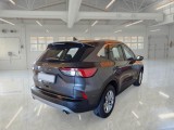  Ford  Kuga FORD  / 2019 / 5P / SUV 1.5 ECOBLUE 120CV 2WD TITANIUM BUS. AUTO #2
