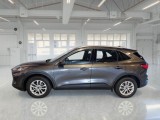  Ford  Kuga FORD  / 2019 / 5P / SUV 1.5 ECOBLUE 120CV 2WD TITANIUM BUS. AUTO #8