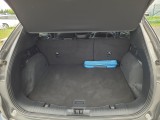  Ford  Kuga  (2019)  1.5EB 110 ST-Line X #12