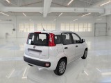  Fiat  Panda FIAT  / 2011 / 5P / BERLINA 1.0 70CV SeS HYBRID #2