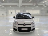  Fiat  Panda FIAT  / 2011 / 5P / BERLINA 1.0 70CV SeS HYBRID #6