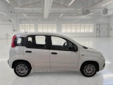  Fiat  Panda FIAT  / 2011 / 5P / BERLINA 1.0 70CV SeS HYBRID #7