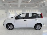  Fiat  Panda FIAT  / 2011 / 5P / BERLINA 1.0 70CV SeS HYBRID #8