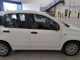  Fiat  Panda FIAT  / 2011 / 5P / BERLINA 1.0 70CV SeS HYBRID #22
