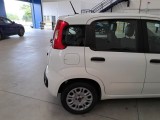  Fiat  Panda FIAT  / 2011 / 5P / BERLINA 1.0 70CV SeS HYBRID #30