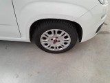  Fiat  Panda FIAT  / 2011 / 5P / BERLINA 1.0 70CV SeS HYBRID #48