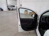  Fiat  Panda FIAT  / 2011 / 5P / BERLINA 1.0 70CV SeS HYBRID #75