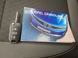  Opel  Grandland X  Elegance Business 1.5 130CV BVA8 E6d #12
