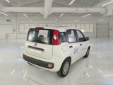 Fiat  Panda FIAT  2016 5P BERLINA 1.3 MJT 95CV SeS E6 EASY #2