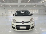  Fiat  Panda FIAT  2016 5P BERLINA 1.3 MJT 95CV SeS E6 EASY #6