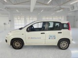  Fiat  Panda FIAT  2016 5P BERLINA 1.3 MJT 95CV SeS E6 EASY #8