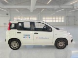  Fiat  Panda FIAT  2016 5P BERLINA 1.3 MJT 95CV SeS E6 EASY #7