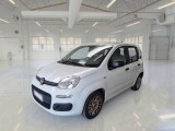  Fiat  Panda FIAT  / 2011 / 5P / BERLINA 1.0 70CV SeS HYBRID 