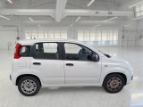  Fiat  Panda FIAT  / 2011 / 5P / BERLINA 1.0 70CV SeS HYBRID #7