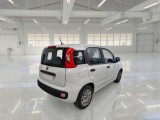  Fiat  Panda FIAT  / 2011 / 5P / BERLINA 1.0 70CV SeS HYBRID #2