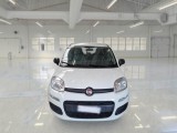  Fiat  Panda FIAT  / 2011 / 5P / BERLINA 1.0 70CV SeS HYBRID #6