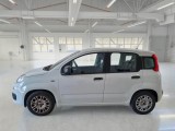  Fiat  Panda FIAT  / 2011 / 5P / BERLINA 1.0 70CV SeS HYBRID #8