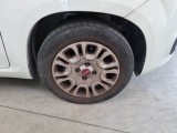  Fiat  Panda FIAT  / 2011 / 5P / BERLINA 1.0 70CV SeS HYBRID #17