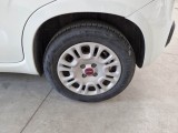  Fiat  Panda FIAT  / 2011 / 5P / BERLINA 1.0 70CV SeS HYBRID #19