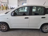  Fiat  Panda FIAT  / 2011 / 5P / BERLINA 1.0 70CV SeS HYBRID #44