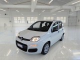  Fiat  Panda FIAT  / 2011 / 5P / BERLINA 1.0 70CV SeS HYBRID 