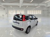  Fiat  Panda FIAT  / 2011 / 5P / BERLINA 1.0 70CV SeS HYBRID #2