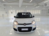  Fiat  Panda FIAT  / 2011 / 5P / BERLINA 1.0 70CV SeS HYBRID #6