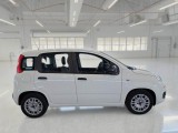  Fiat  Panda FIAT  / 2011 / 5P / BERLINA 1.0 70CV SeS HYBRID #7