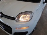  Fiat  Panda FIAT  / 2011 / 5P / BERLINA 1.0 70CV SeS HYBRID #38