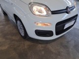  Fiat  Panda FIAT  / 2011 / 5P / BERLINA 1.0 70CV SeS HYBRID #47
