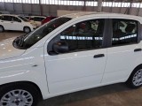  Fiat  Panda FIAT  / 2011 / 5P / BERLINA 1.0 70CV SeS HYBRID #76