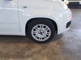  Fiat  Panda FIAT  / 2011 / 5P / BERLINA 1.0 70CV SeS HYBRID #81