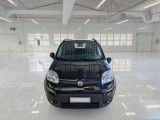  Fiat  Panda FIAT  / 2011 / 5P / BERLINA 1.0 FIREFLY 70CV SeS HYBRID #6