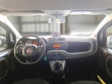  Fiat  Panda FIAT  / 2011 / 5P / BERLINA 1.3 MJT 95CV SeS E6 4X4 #3