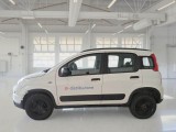  Fiat  Panda FIAT  / 2011 / 5P / BERLINA 1.3 MJT 95CV SeS E6 4X4 #8