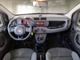  Fiat  Panda FIAT  / 2011 / 5P / BERLINA 0.9 TWINAIR TURBO 85CV SeS E6-TEMP 4X4 #3