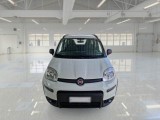 Fiat  Panda FIAT  / 2011 / 5P / BERLINA 0.9 TWINAIR TURBO 85CV SeS E6-TEMP 4X4 #6