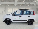  Fiat  Panda FIAT  / 2011 / 5P / BERLINA 0.9 TWINAIR TURBO 85CV SeS E6-TEMP 4X4 #8
