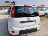  Fiat  Panda FIAT  / 2011 / 5P / BERLINA 0.9 TWINAIR TURBO 85CV SeS E6-TEMP 4X4 #64
