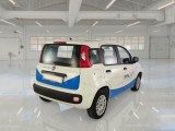  Fiat  Panda FIAT  / 2011 / 5P / BERLINA 1.2 69CV SeS E6D-TEMP EASY #2