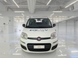  Fiat  Panda FIAT  / 2011 / 5P / BERLINA 1.2 69CV SeS E6D-TEMP EASY #6