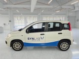  Fiat  Panda FIAT  / 2011 / 5P / BERLINA 1.2 69CV SeS E6D-TEMP EASY #8