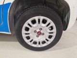  Fiat  Panda FIAT  / 2011 / 5P / BERLINA 1.2 69CV SeS E6D-TEMP EASY #19